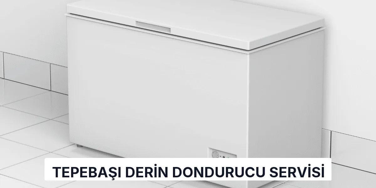 Tepebaşı Derin Dondurucu Servisi
